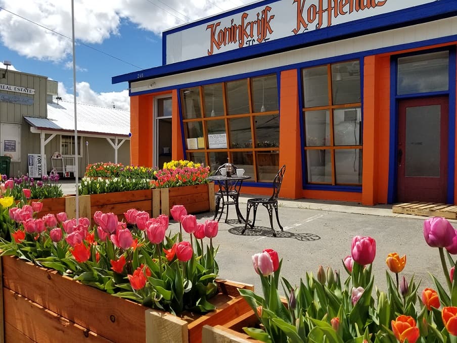 Branding banner for Koninkrijk Koffiehuis