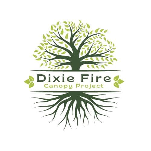 Branding banner for Dixie Fire Canopy Project