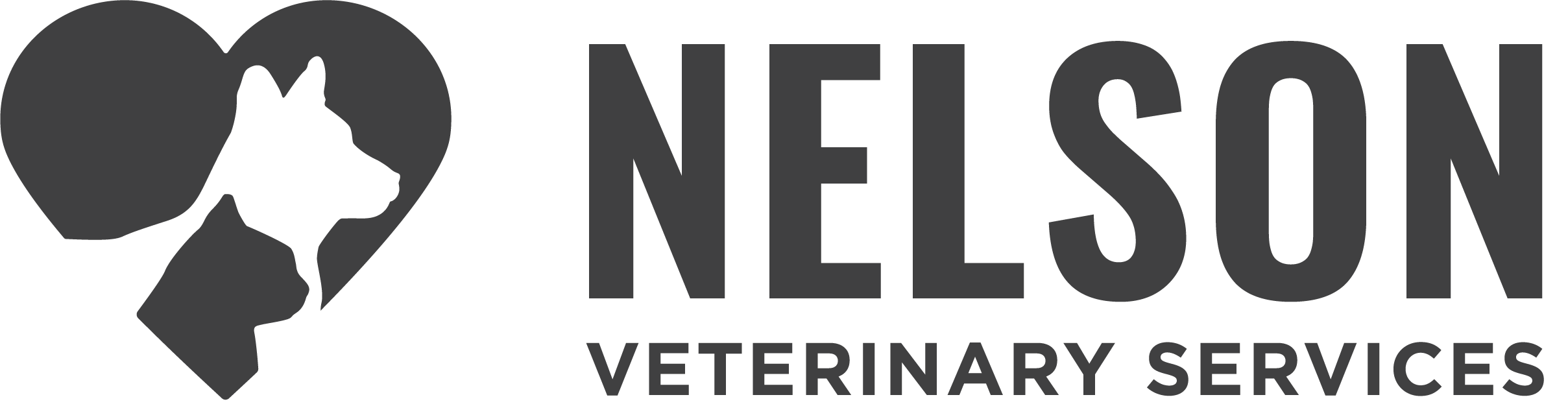 Branding banner for Nelson Veterinarian Services