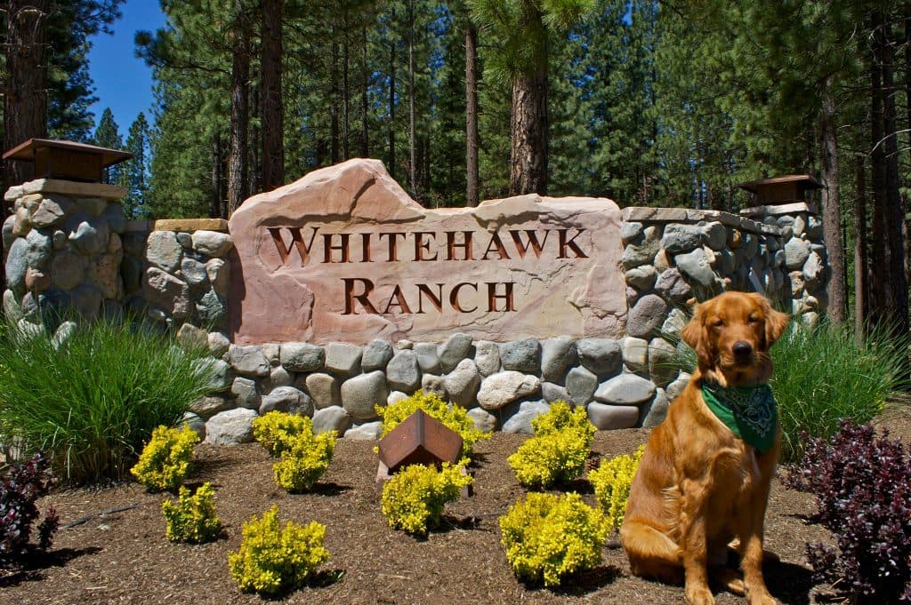 Branding banner for Whitehawk Ranch Community Service District